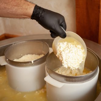 cheese-production-from-milk-home-business-food-2026-01-06-10-53-51-utc (1)
